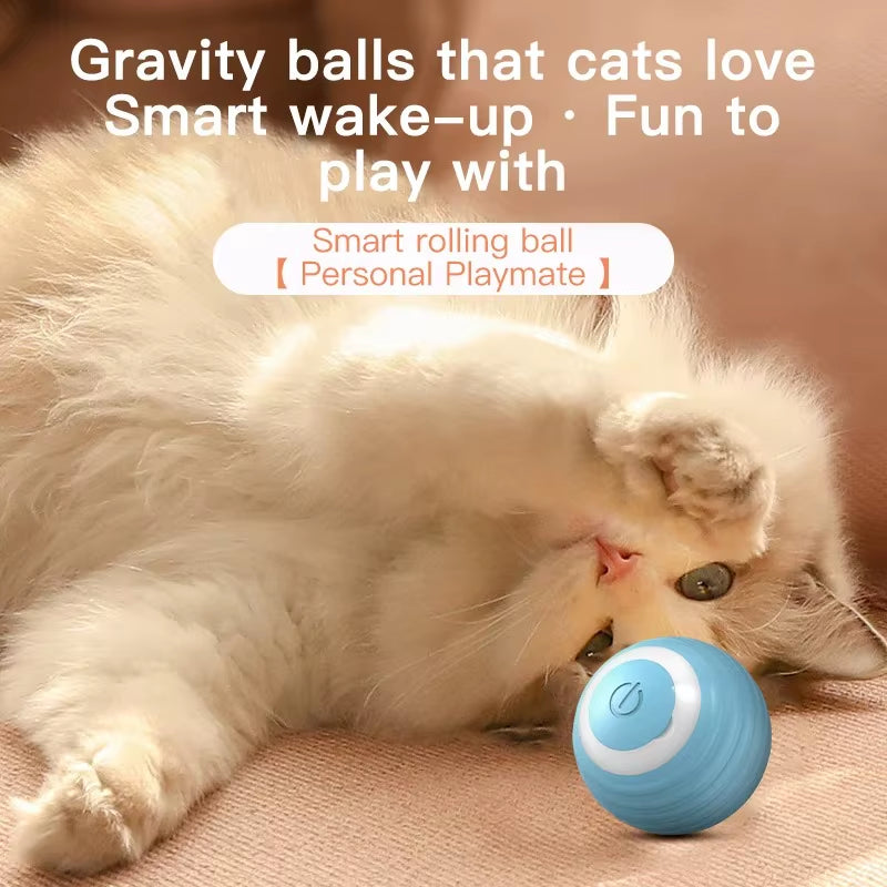 Cat Interactive Ball Training Self-Moving Kitten Electric Cat Ball Toys Electronic Automatic Rolling Magic Ball Toys for Cat