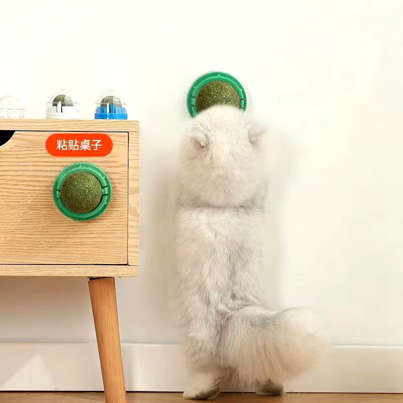 The Catnip Cat Wall Stick-On Ball Toy Scratchers Treats Healthy Natural Removes Balls to Promote Digestion Cat Grass Snack
