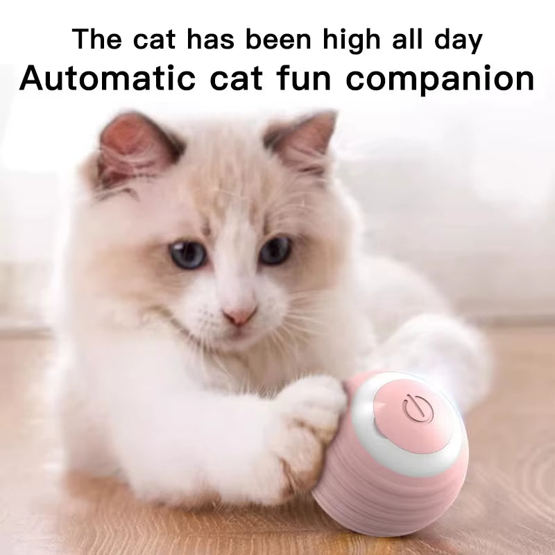 Cat Interactive Ball Training Self-Moving Kitten Electric Cat Ball Toys Electronic Automatic Rolling Magic Ball Toys for Cat