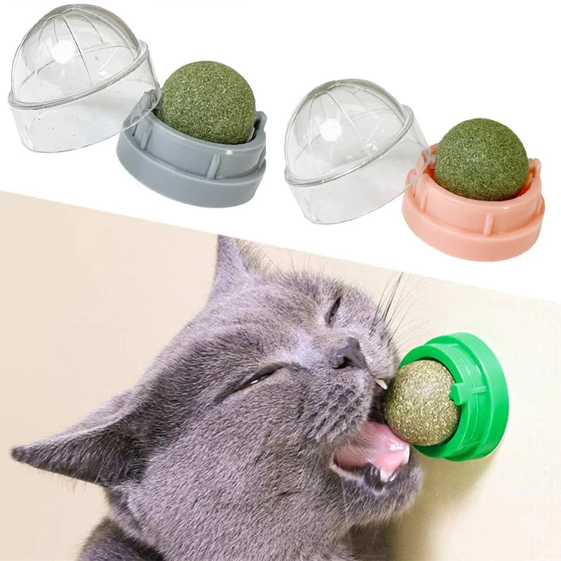 The Catnip Cat Wall Stick-On Ball Toy Scratchers Treats Healthy Natural Removes Balls to Promote Digestion Cat Grass Snack